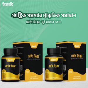 মেথিমিক্স 2 ফাইল